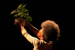 Retilíneo, espetáculo com dramaturgia premiada, estreia em Curitiba