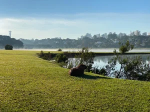 Novo parque de diversão do Parque Barigui ganha data de inauguração