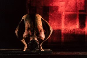 Nova temporada de “Enquanto você voava, eu criava raízes” estreia no Rio