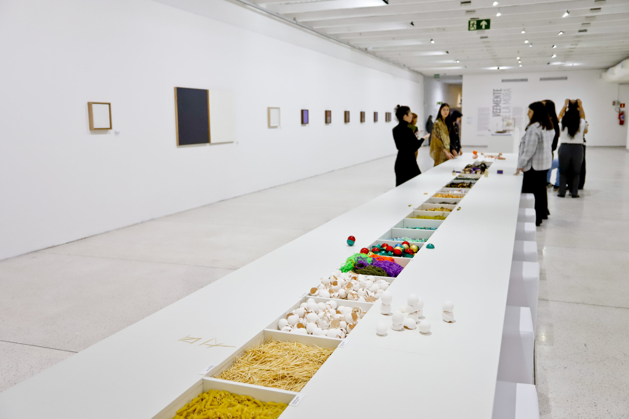 Confira as oficinas e as mediações gratuitas de novembro no MON