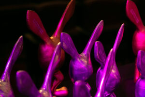 Festival MixBrasil anuncia os vencedores na categoria Cinema da sua 33ª edição