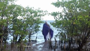 15ª Mostra Ecofalante de Cinema 2026: inscrições prorrogadas