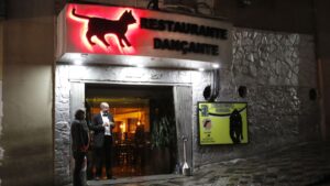 Sexta-feira 13: Gato Preto e Curitiba Sombria apresentam “Grito de Carnaval”