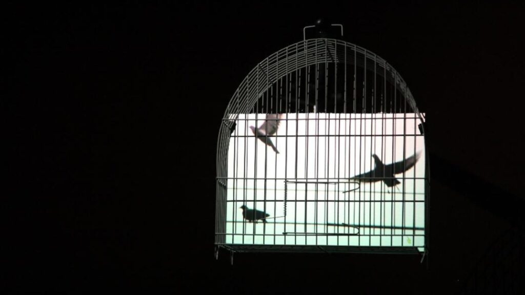 CAIXA Cultural Curitiba recebe exposição inédita de Eder Santos