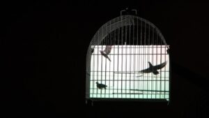 CAIXA Cultural Curitiba recebe exposição inédita de Eder Santos