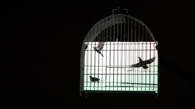 CAIXA Cultural Curitiba recebe exposição inédita de Eder Santos