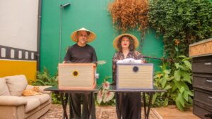 “Peregrinos” convida a descobrir o extraordinário que cabe em uma caixa