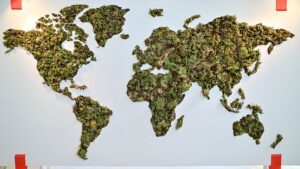 Exposição “Mudamos o Clima, Agora o Clima Muda Tudo” segue em cartaz no Futuros-Arte e Tecnologia, no Flamengo