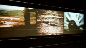 Exibição do filme “Girassol Vermelho”, oficina criativa e visita guiada fazem parte de programação paralela à exposição de Eder Santos