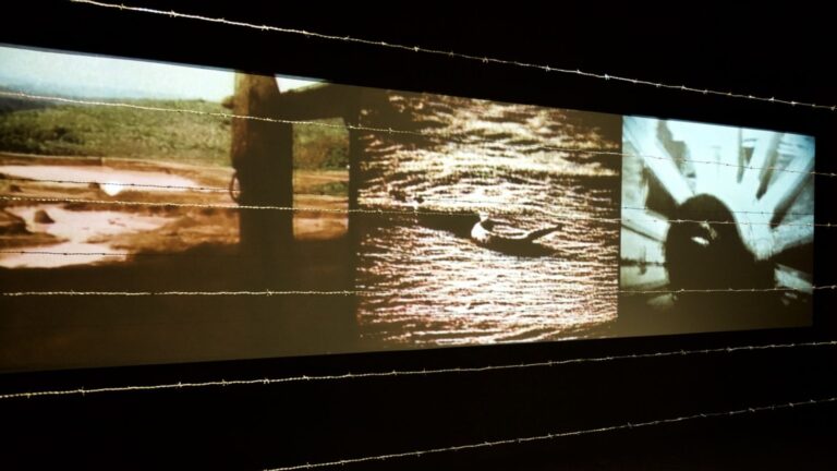 Exibição do filme “Girassol Vermelho”, oficina criativa e visita guiada fazem parte de programação paralela à exposição de Eder Santos