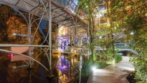 Bosque Sonoro oferece experiência gastronômica e musical na Ópera Arte