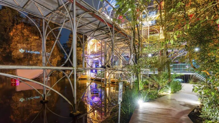 Bosque Sonoro oferece experiência gastronômica e musical na Ópera Arte