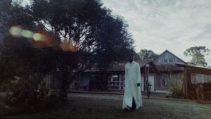 Cinema brasileiro em destaque: filmes nacionais que chegam aos cinemas ainda esse ano