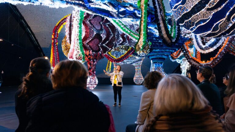 Saiba quais são as atividades gratuitas do MON em maio, nas quartas-feiras