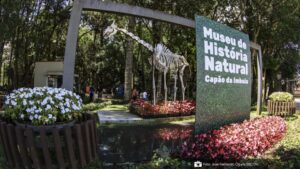 Crianças poderão ser biólogas por um dia nas férias no Museu de História Natural