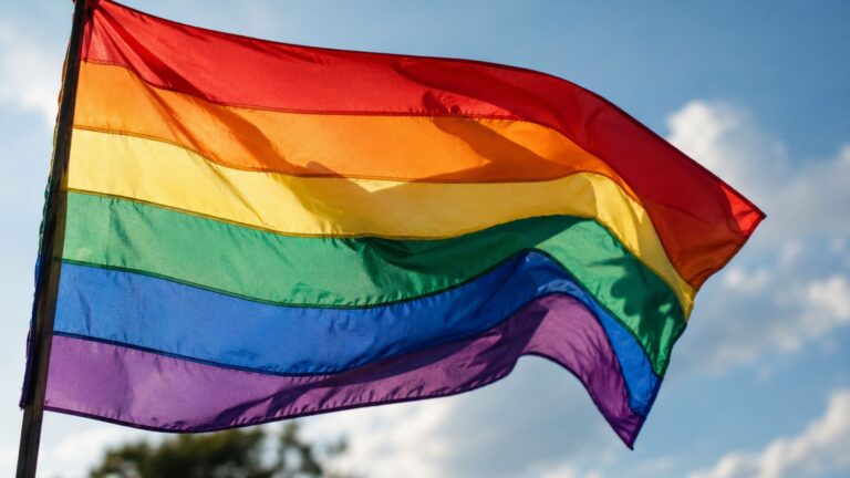 Festival LGBTQIAPN+ chega a PG para celebrar diversidade, cultura e inclusão